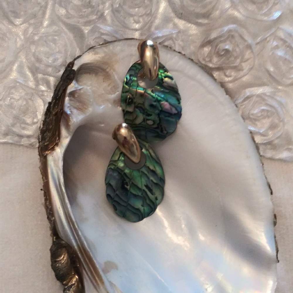 Abalone earrings with leverback